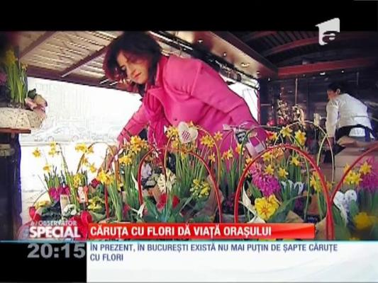 SPECIAL! Floarea caracteristică pentru Valentine's Day: trandafirul