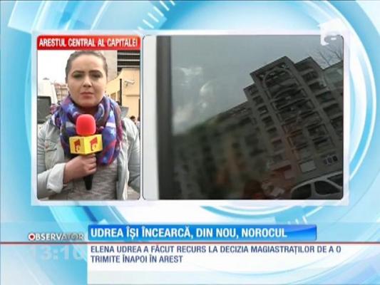 Elena Udrea îşi încearcă, din nou, norocul