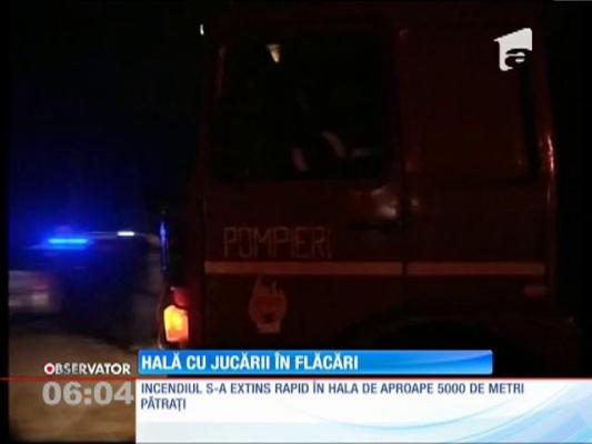 Incendiu la un depozit de jucării din Bucureşti