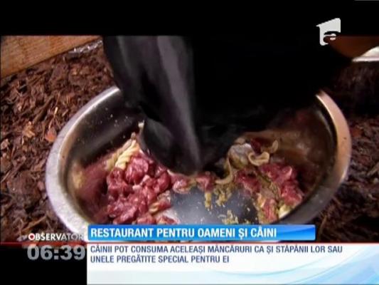 Restaurant pentru oameni și câini