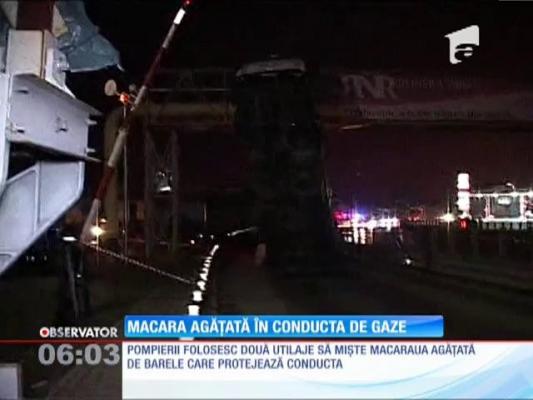 Macara agățată în conducta de gaze!