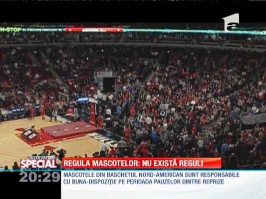 Special! Regula mascotelor: nu există reguli