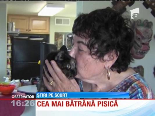 EA este cea mai bătrână pisică din lume!