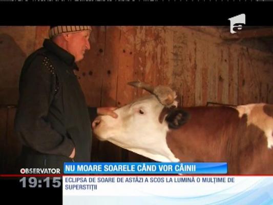 Vocea satului: eclipsa de soare, opera vârcolacilor nesătui