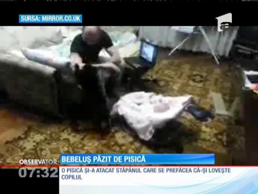 O pisică şi-a atacat stăpânul care se prefăcea că își lovește copilul