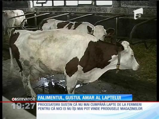 Falimentul, gustul amar al laptelui