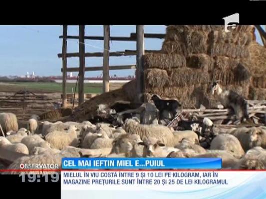 La masa de Paşte, românii înlocuiesc mielul cu puiul sau cu iepurele