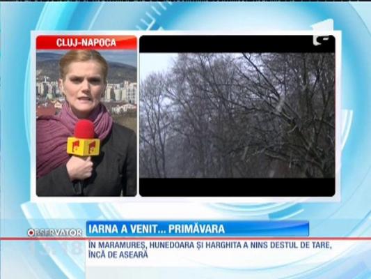 METEO! Iarna a venit primăvara