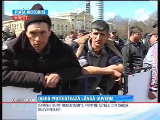 Oierii protestează lângă Guvern