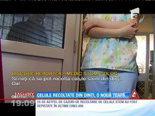 Celulele stem recoltate din dinți, o nouă țeapă