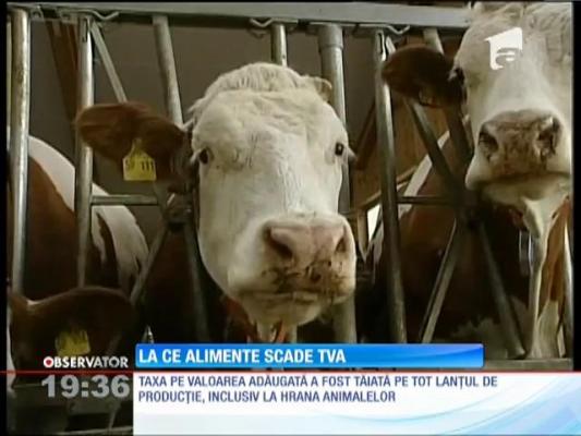 La ce alimente scade TVA