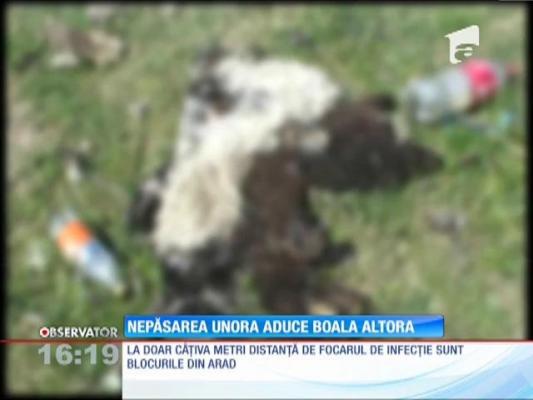 Nepăsarea unora aduce boala altora