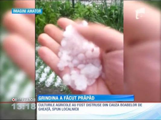 Grindina a făcut prăpăd în Caraş-Severin