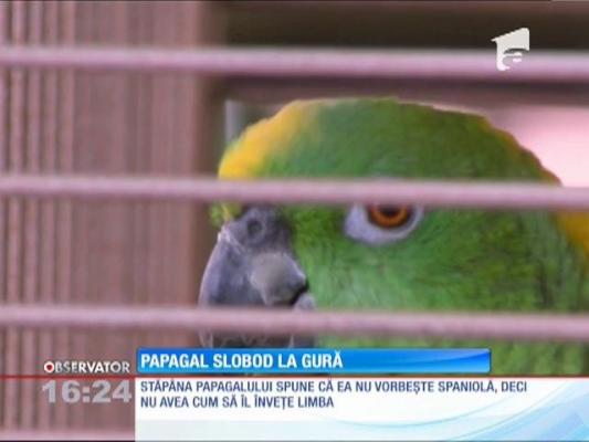 Un papagal este miza unui scandal de proporţii în Statele Unite. Zeci de plângeri sunt depuse în fiecare lună la poliţie pe numele lui