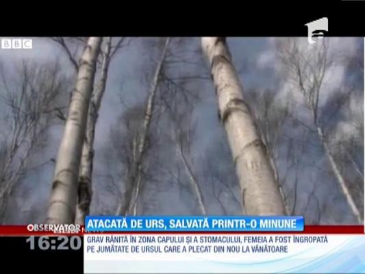 Salvare incredibilă! Femeie îngropată de vie de un urs