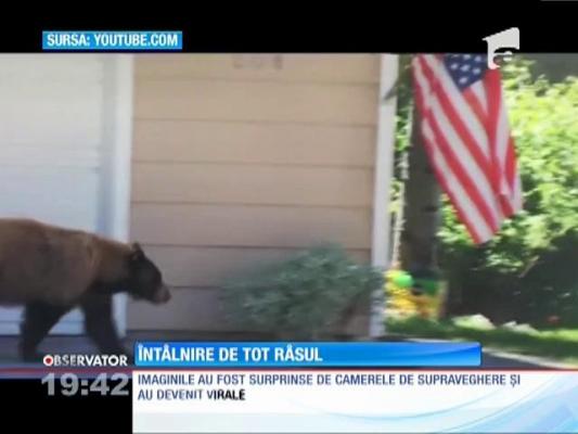 Întâlnire de tot râsul