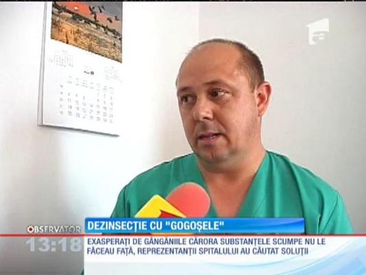 Dezinsecție cu ”gogoșele” la Spitalul de Urgenţă din Piteşti