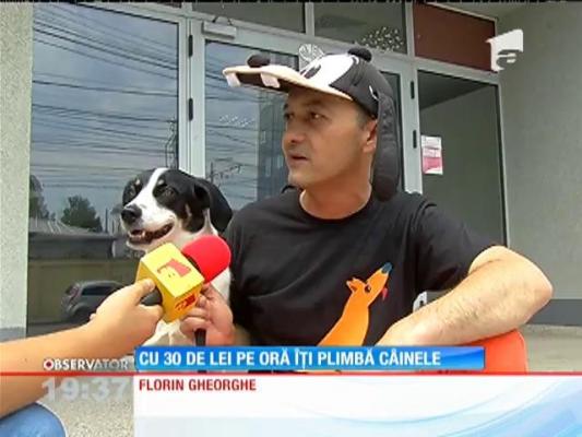 Soluţie pentru cei nu au timp să-şi plimbe câinii