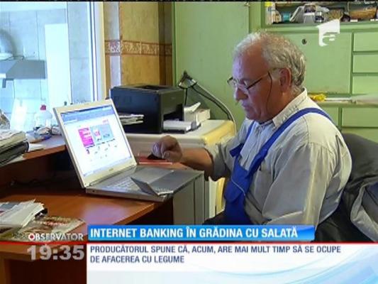 Producătorii români devin experţi în navigatul pe internet