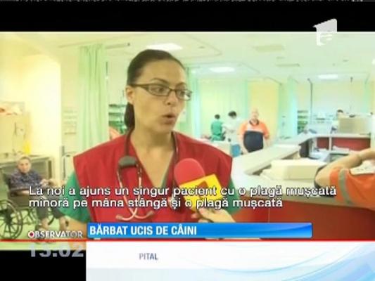 Un bărbat din judeţul Mureş a murit sfâşiat de patru câini scăpaţi din curtea unei ferme