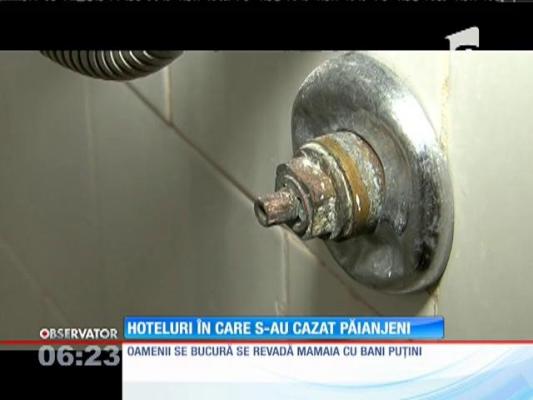 Un control fulger a făcut să cadă stelele mai multor hoteluri din staţiunea Mamaia