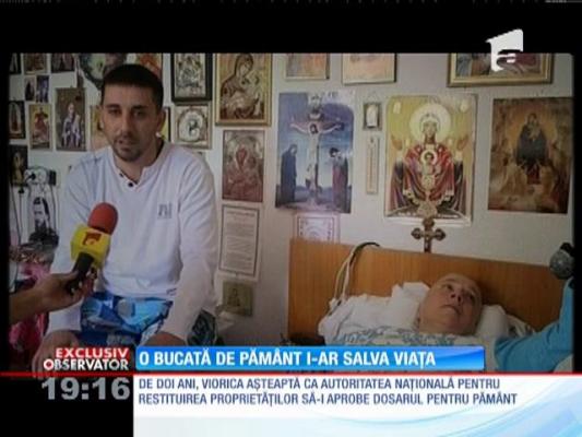 10 hectare de pământ pentru o viață. Femeia a cerut ajutor!