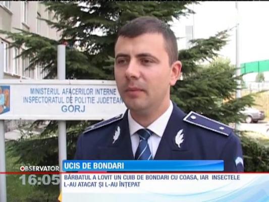 Un bărbat din Gorj a fost ucis de bondari