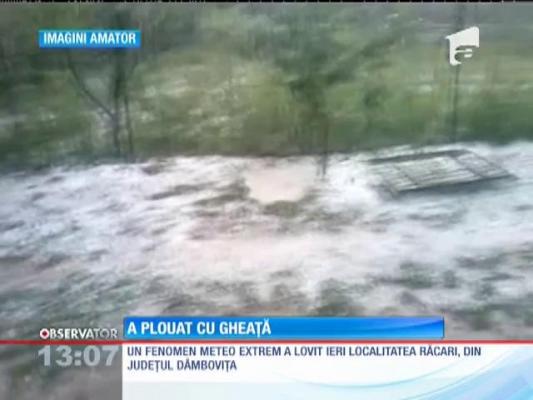 O ploaie cu gheață cât oul de porumbel a făcut ravagii într-o localitate din judeţul Dâmboviţa