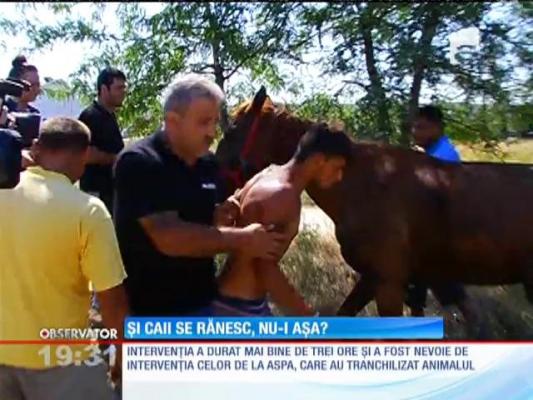 Un cal căzut într-un canal din cartierul bucureştean Militari, salvat de zeci de pompieri