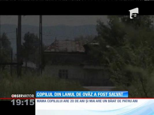 O mamă şi-a abandonat pruncul pe un câmp din Suceava