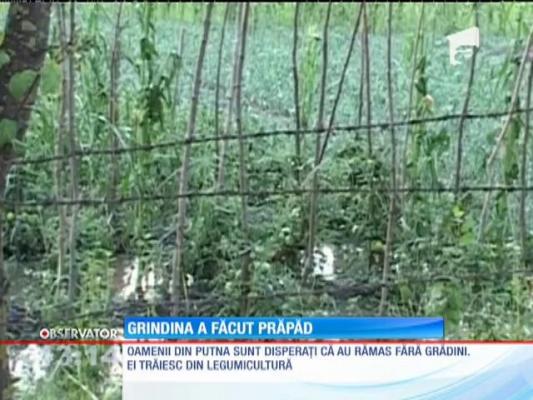 Grindina a făcut prăpăd în judeţul Vrancea