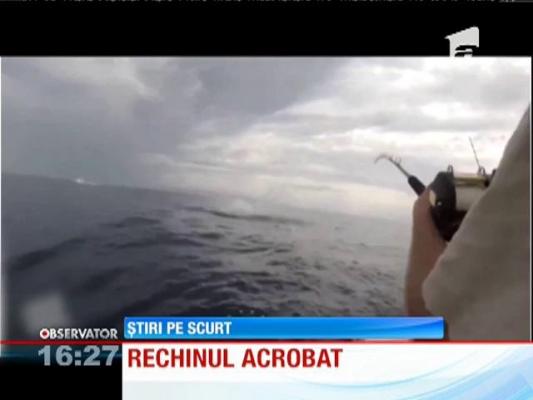 Un rechin a băgat frică în doi pescari americani