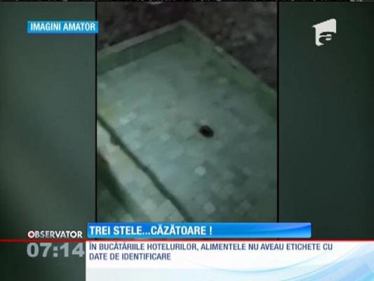 Mai multe hoteluri din Neptun reinventează standardele de cazare la două şi trei stele