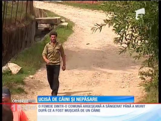 Bătrână de 67 de ani ucisă de un câine, pe stradă