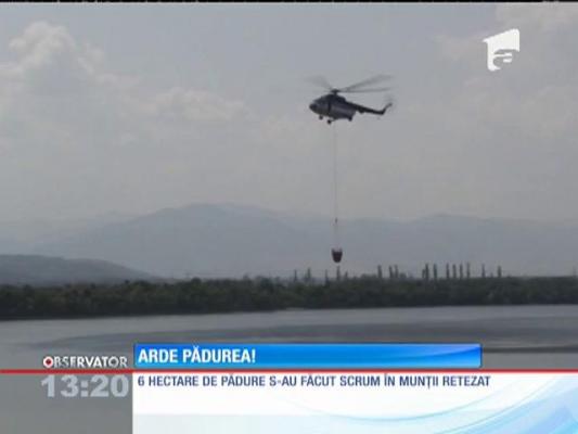 Încediu în pădurea de conifere în munţii Retezat