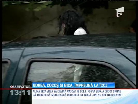 Elena Udrea, Alina Bica şi Alin Cocoş vor să scape de controlul judiciar
