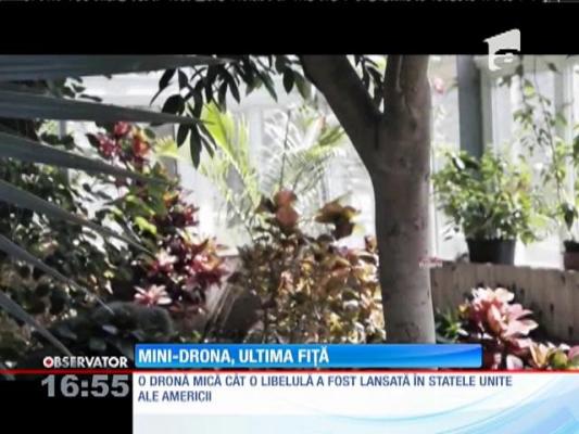 O mini-dronă a fost lansată în SUA