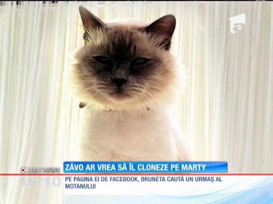 Oana Zăvoranu vrea să-l cloneze pe fostul ei motan, Marty
