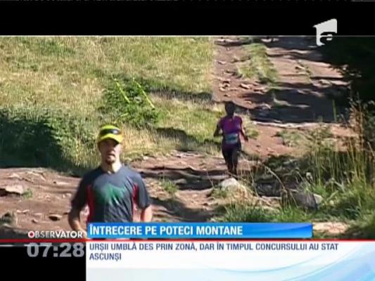 Harghita Trail Running: Competiţie printre brazi şi peisaje superbe, în Munţii Harghitei