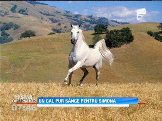 Un cal pur sânge, premiu pentru Simona Halep