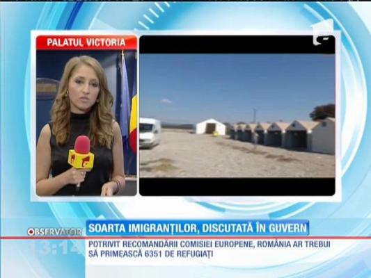 Soarta imigranţilor, discutată în Guvern