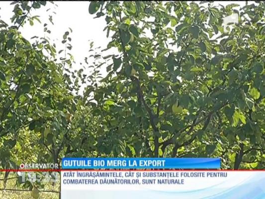 La vârsta pensionării, un medic din Giurgiu s-a lansat în afaceri cu o idee de succes