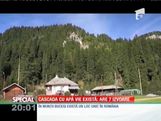 SPECIAL! Cascada cu apă vie există: are şapte izvoare