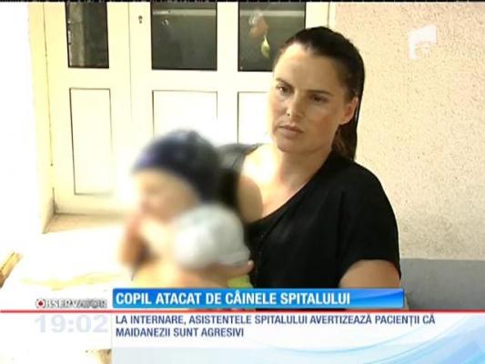 O fetiţă de 5 ani, sfâșiată de un câine în curtea unui spital din Galaţi