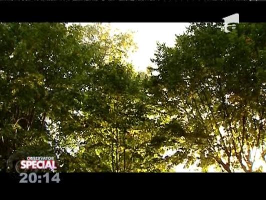 Special! Cel mai bun mod de relaxare este o plimbare în parc
