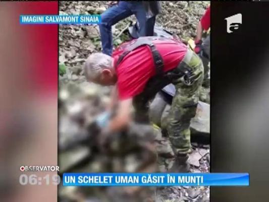 Ce descoperire macabră a făcut un cioban în timp ce era cu oile la păscut