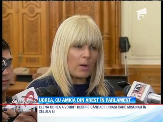 Elena Udrea le-a arătat colegilor din Parlament plicuri cu gândaci morţi, aduşi din celulă!