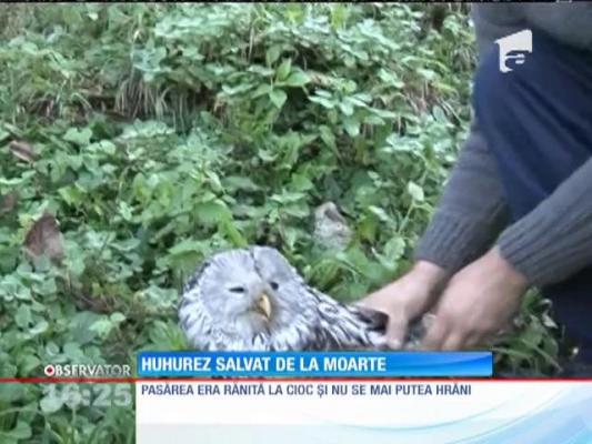 A salvat-o de la moarte: cum a devenit un hunedorean erou!