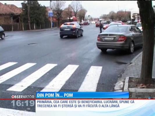 Incredibil! La Târgu Jiu a fost construită o trecerea de pietoni între doi pomi!