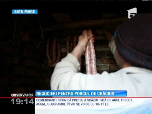 Negocierea porcilor a început în toată ţara